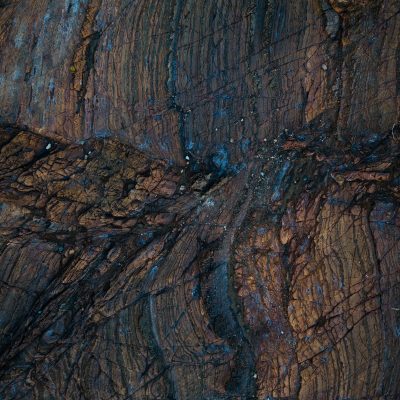Holz